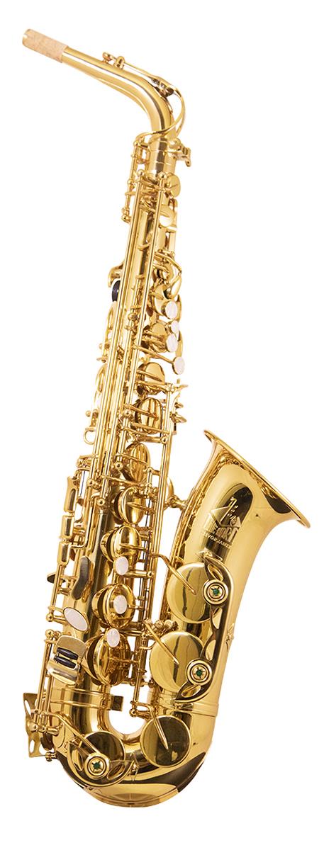 Trevor James | 3730G The Horn Alto Saxophone | Gold Lacquer